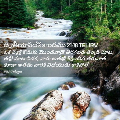 Picture 02 - ద్వితీయోపదేశ కాండము 21:18 TELIRV - ఒక వ్యక్తి కొడుకు - Bible Verse Picture