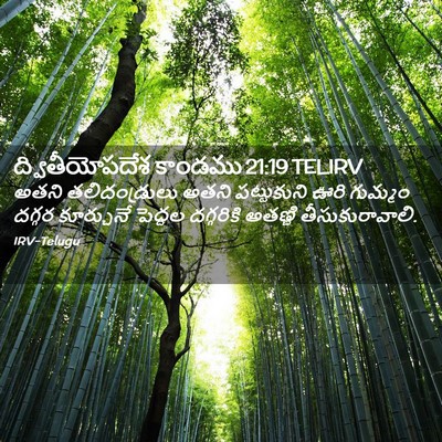 Picture 02 - ద్వితీయోపదేశ కాండము 21:19 TELIRV - అతని తలిదండ్రులు - Bible Verse Picture