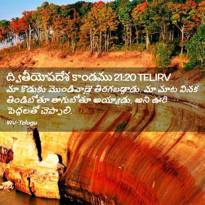 Picture 02 - ద్వితీయోపదేశ కాండము 21:20 TELIRV - మా కొడుకు - Bible Verse Picture