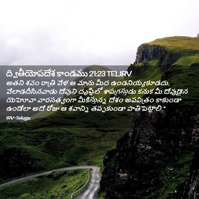 Picture 02 - ద్వితీయోపదేశ కాండము 21:23 TELIRV - అతని శవం రాత్రి - Bible Verse Picture