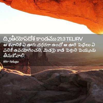 Picture 02 - ద్వితీయోపదేశ కాండము 21:3 TELIRV - ఆ శవానికి ఏ ఊరు - Bible Verse Picture