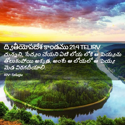 Picture 02 - ద్వితీయోపదేశ కాండము 21:4 TELIRV - దున్నని, సేద్యం - Bible Verse Picture