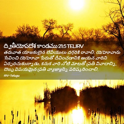 Picture 02 - ద్వితీయోపదేశ కాండము 21:5 TELIRV - తరువాత యాజకులైన - Bible Verse Picture