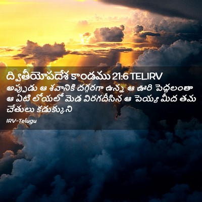 Picture 02 - ద్వితీయోపదేశ కాండము 21:6 TELIRV - అప్పుడు ఆ శవానికి - Bible Verse Picture