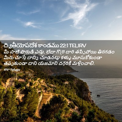 Picture 02 - ద్వితీయోపదేశ కాండము 22:1 TELIRV - మీ సాటి పౌరుడి - Bible Verse Picture