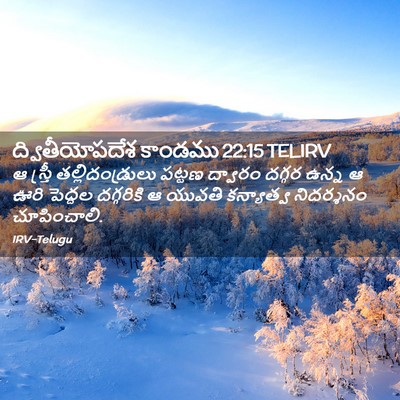 Picture 02 - ద్వితీయోపదేశ కాండము 22:15 TELIRV - ఆ స్త్రీ - Bible Verse Picture