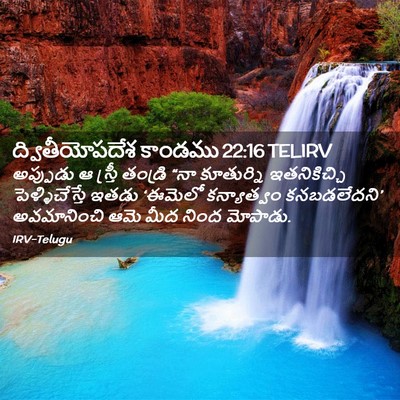 Picture 02 - ద్వితీయోపదేశ కాండము 22:16 TELIRV - అప్పుడు ఆ స్త్రీ - Bible Verse Picture