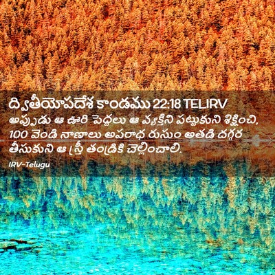 Picture 02 - ద్వితీయోపదేశ కాండము 22:18 TELIRV - అప్పుడు ఆ ఊరి - Bible Verse Picture