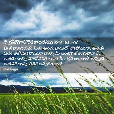 Picture 02 - ద్వితీయోపదేశ కాండము 22:2 TELIRV - మీ సహోదరుడు మీకు - Bible Verse Picture