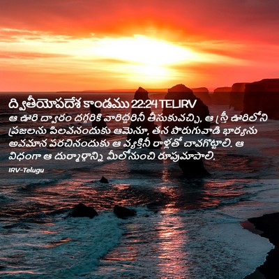 Picture 02 - ద్వితీయోపదేశ కాండము 22:24 TELIRV - ఆ ఊరి ద్వారం - Bible Verse Picture