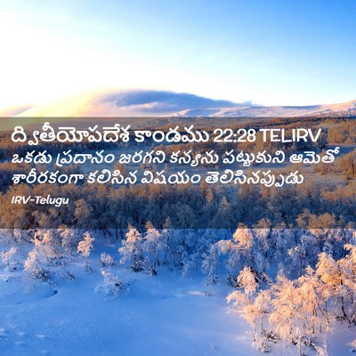 Picture 02 - ద్వితీయోపదేశ కాండము 22:28 TELIRV - ఒకడు ప్రదానం - Bible Verse Picture