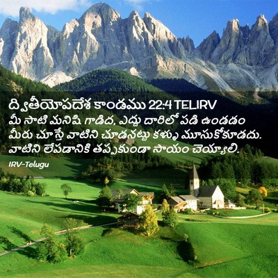 Picture 02 - ద్వితీయోపదేశ కాండము 22:4 TELIRV - మీ సాటి మనిషి - Bible Verse Picture