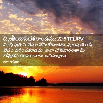 Picture 02 - ద్వితీయోపదేశ కాండము 22:5 TELIRV - ఏ స్త్రీ పురుష - Bible Verse Picture
