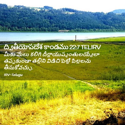 Picture 02 - ద్వితీయోపదేశ కాండము 22:7 TELIRV - మీకు మేలు కలిగి - Bible Verse Picture