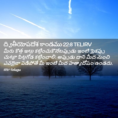 Picture 02 - ద్వితీయోపదేశ కాండము 22:8 TELIRV - మీరు కొత్త ఇల్లు - Bible Verse Picture
