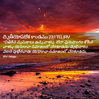 Picture 02 - ద్వితీయోపదేశ కాండము 23:1 TELIRV - “చితికిన వృషణాలు - Bible Verse Picture