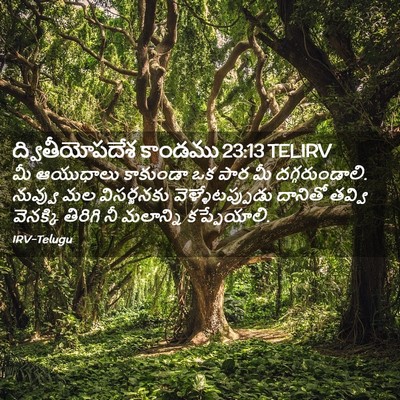 Picture 02 - ద్వితీయోపదేశ కాండము 23:13 TELIRV - మీ ఆయుధాలు - Bible Verse Picture
