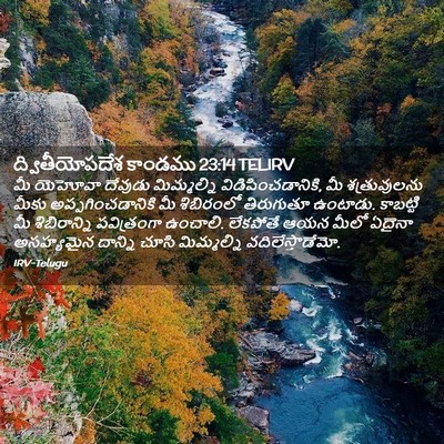 Picture 02 - ద్వితీయోపదేశ కాండము 23:14 TELIRV - మీ యెహోవా దేవుడు - Bible Verse Picture