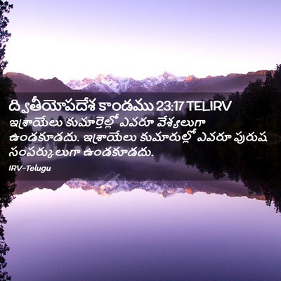 Picture 02 - ద్వితీయోపదేశ కాండము 23:17 TELIRV - ఇశ్రాయేలు - Bible Verse Picture