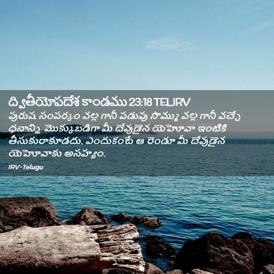 Picture 02 - ద్వితీయోపదేశ కాండము 23:18 TELIRV - పురుష సంపర్కం - Bible Verse Picture