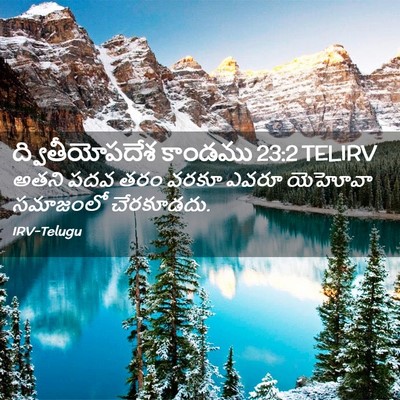 Picture 02 - ద్వితీయోపదేశ కాండము 23:2 TELIRV - అతని పదవ తరం వరకూ - Bible Verse Picture