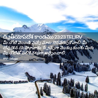Picture 02 - ద్వితీయోపదేశ కాండము 23:23 TELIRV - మీ నోటి వెంబడి - Bible Verse Picture
