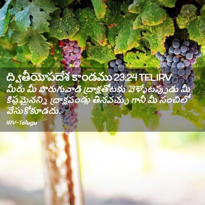 Picture 02 - ద్వితీయోపదేశ కాండము 23:24 TELIRV - మీరు మీ - Bible Verse Picture