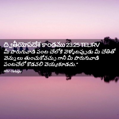 Picture 02 - ద్వితీయోపదేశ కాండము 23:25 TELIRV - మీ పొరుగువాడి పంట - Bible Verse Picture