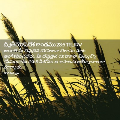 Picture 02 - ద్వితీయోపదేశ కాండము 23:5 TELIRV - అయితే మీ దేవుడైన - Bible Verse Picture