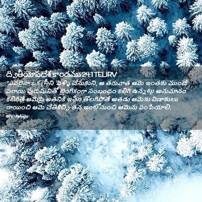 Picture 02 - ద్వితీయోపదేశ కాండము 24:1 TELIRV - “ఎవరైనా ఒక - Bible Verse Picture