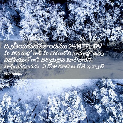 Picture 02 - ద్వితీయోపదేశ కాండము 24:14 TELIRV - మీ సోదరుల్లో గానీ - Bible Verse Picture