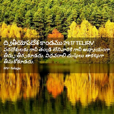 Picture 02 - ద్వితీయోపదేశ కాండము 24:17 TELIRV - పరదేశులకు గానీ - Bible Verse Picture