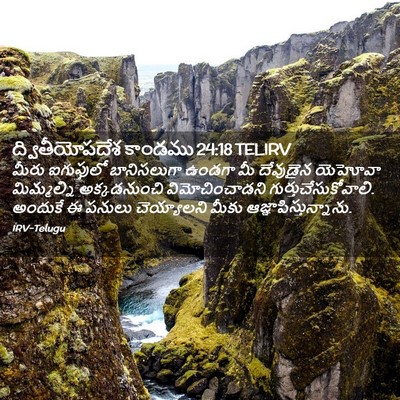 Picture 02 - ద్వితీయోపదేశ కాండము 24:18 TELIRV - మీరు ఐగుప్తులో - Bible Verse Picture