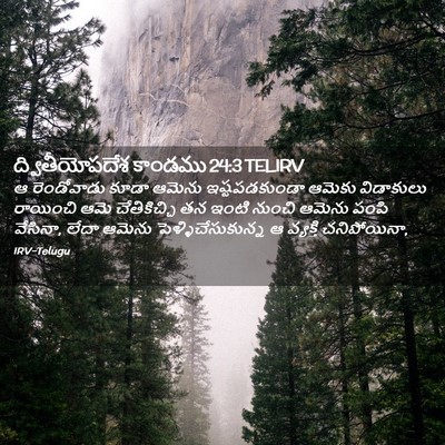 Picture 02 - ద్వితీయోపదేశ కాండము 24:3 TELIRV - ఆ రెండోవాడు కూడా - Bible Verse Picture