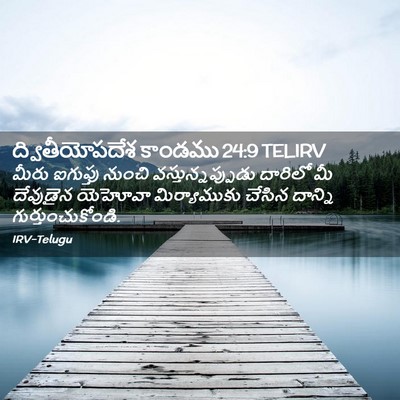 Picture 02 - ద్వితీయోపదేశ కాండము 24:9 TELIRV - మీరు ఐగుప్తు - Bible Verse Picture