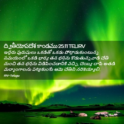 Picture 02 - ద్వితీయోపదేశ కాండము 25:11 TELIRV - ఇద్దరు పురుషులు - Bible Verse Picture