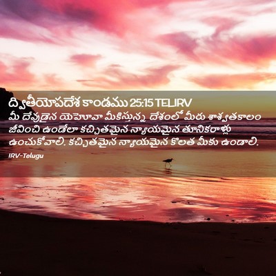 Picture 02 - ద్వితీయోపదేశ కాండము 25:15 TELIRV - మీ దేవుడైన యెహోవా - Bible Verse Picture