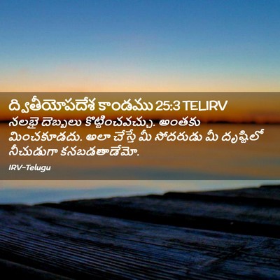 Picture 02 - ద్వితీయోపదేశ కాండము 25:3 TELIRV - నలభై దెబ్బలు - Bible Verse Picture