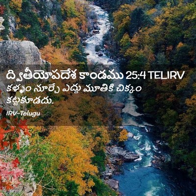 Picture 02 - ద్వితీయోపదేశ కాండము 25:4 TELIRV - కళ్ళం నూర్చే - Bible Verse Picture