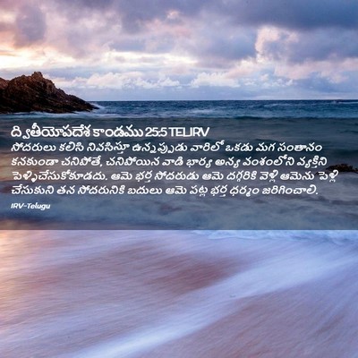 Picture 02 - ద్వితీయోపదేశ కాండము 25:5 TELIRV - సోదరులు కలిసి - Bible Verse Picture