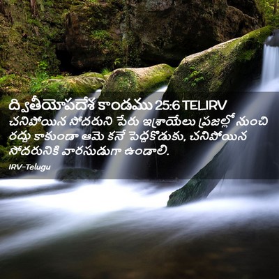 Picture 02 - ద్వితీయోపదేశ కాండము 25:6 TELIRV - చనిపోయిన సోదరుని - Bible Verse Picture