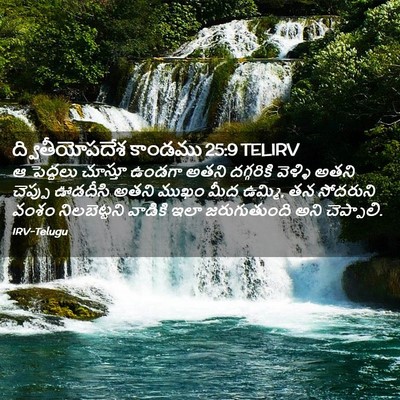 Picture 02 - ద్వితీయోపదేశ కాండము 25:9 TELIRV - ఆ పెద్దలు చూస్తూ - Bible Verse Picture