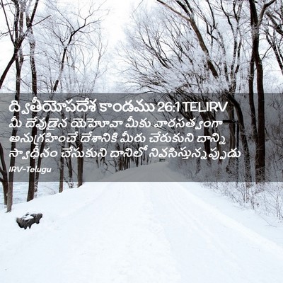 Picture 02 - ద్వితీయోపదేశ కాండము 26:1 TELIRV - మీ దేవుడైన యెహోవా - Bible Verse Picture