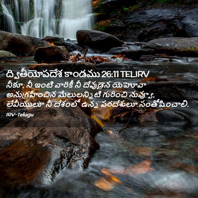Picture 02 - ద్వితీయోపదేశ కాండము 26:11 TELIRV - నీకూ, నీ ఇంటి - Bible Verse Picture