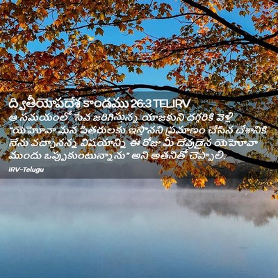 Picture 02 - ద్వితీయోపదేశ కాండము 26:3 TELIRV - ఆ సమయంలో సేవ - Bible Verse Picture