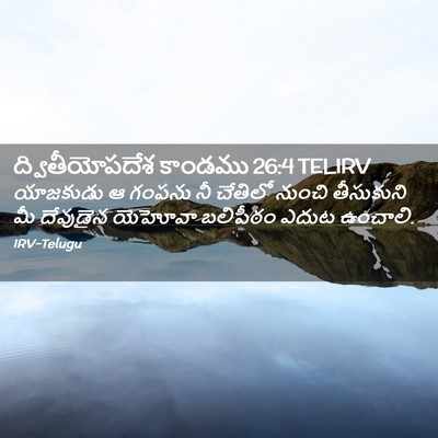 Picture 02 - ద్వితీయోపదేశ కాండము 26:4 TELIRV - యాజకుడు ఆ గంపను నీ - Bible Verse Picture