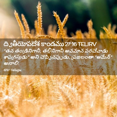 Picture 02 - ద్వితీయోపదేశ కాండము 27:16 TELIRV - “తన తండ్రినిగానీ, - Bible Verse Picture