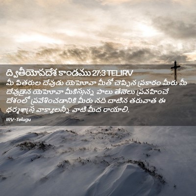 Picture 02 - ద్వితీయోపదేశ కాండము 27:3 TELIRV - మీ పితరుల దేవుడు - Bible Verse Picture