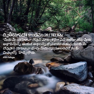 Picture 02 - ద్వితీయోపదేశ కాండము 28:1 TELIRV - “మీరు మీ యెహోవా - Bible Verse Picture