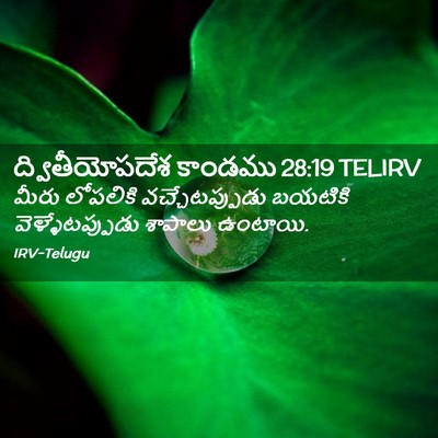 Picture 02 - ద్వితీయోపదేశ కాండము 28:19 TELIRV - మీరు లోపలికి - Bible Verse Picture